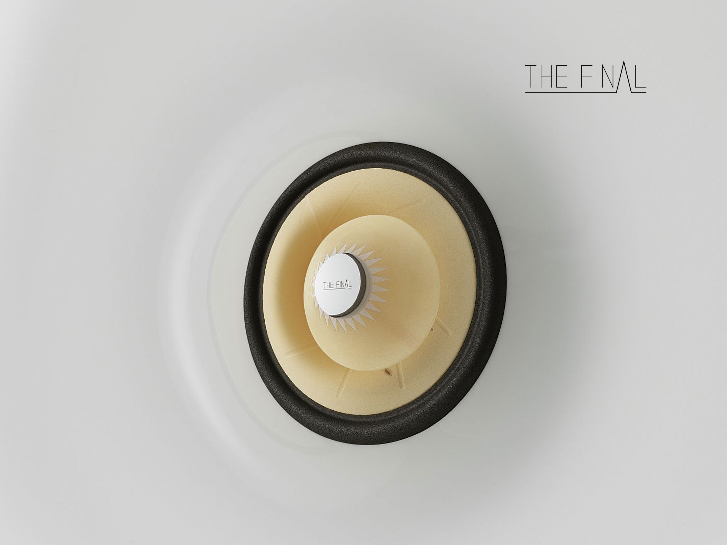 Fulrange Driver of The-Final horn speaker
